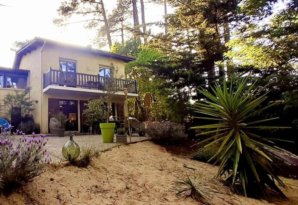 Mon Petit Coin Sous Les Pins Villa La Teste-de-Buch Bagian luar foto